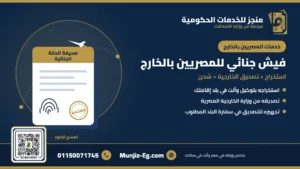 فيش جنائي للمصريين بالخارج - منجز